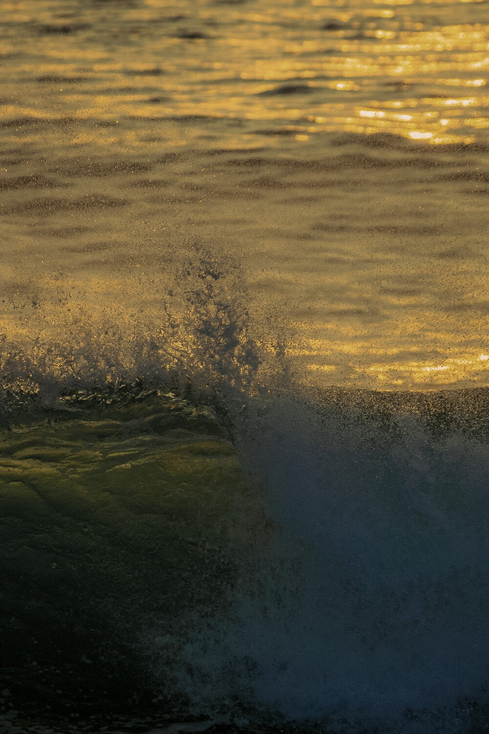 Breaking wave in golden sunset light
