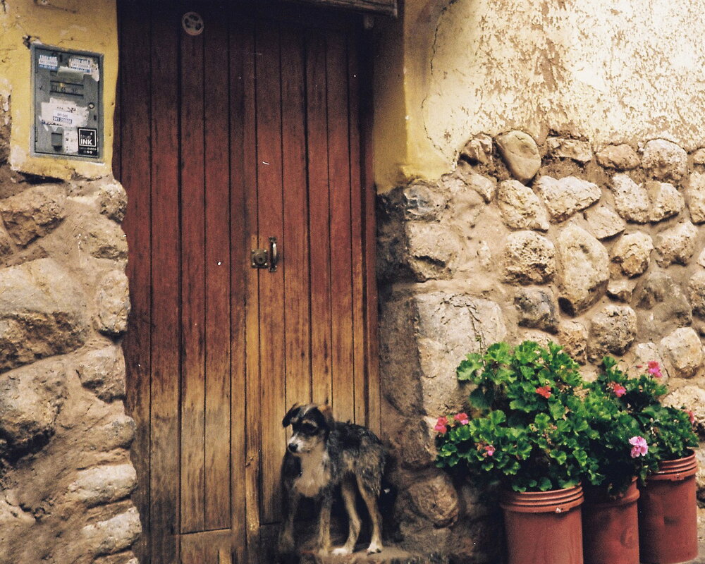 Ein Hund vor einer alten Holztür in Cusco