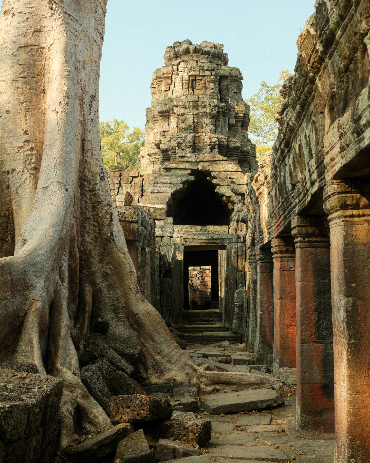 Tree roots and a ruined tower at Angkor
