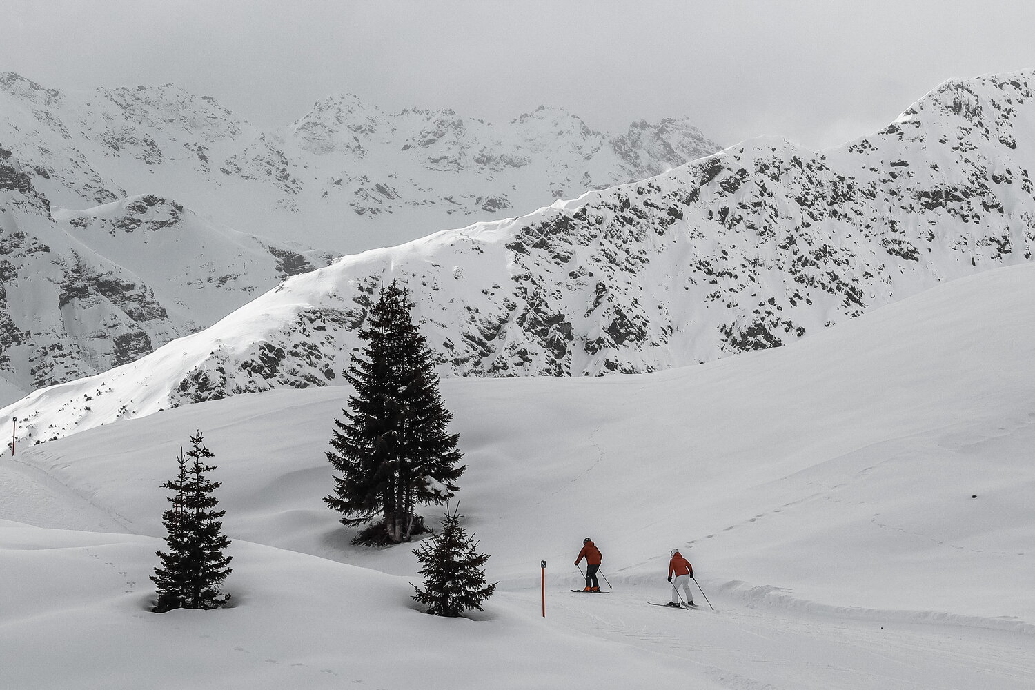 Zwei Skifahrer zwischen einzelnen Tannen