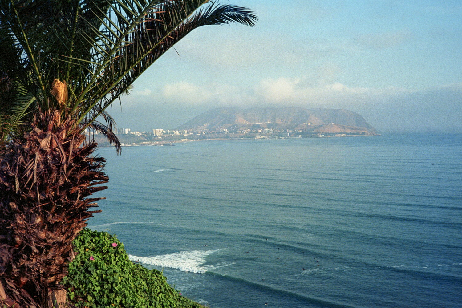 Palmwedel über dem Pazifik in Miraflores