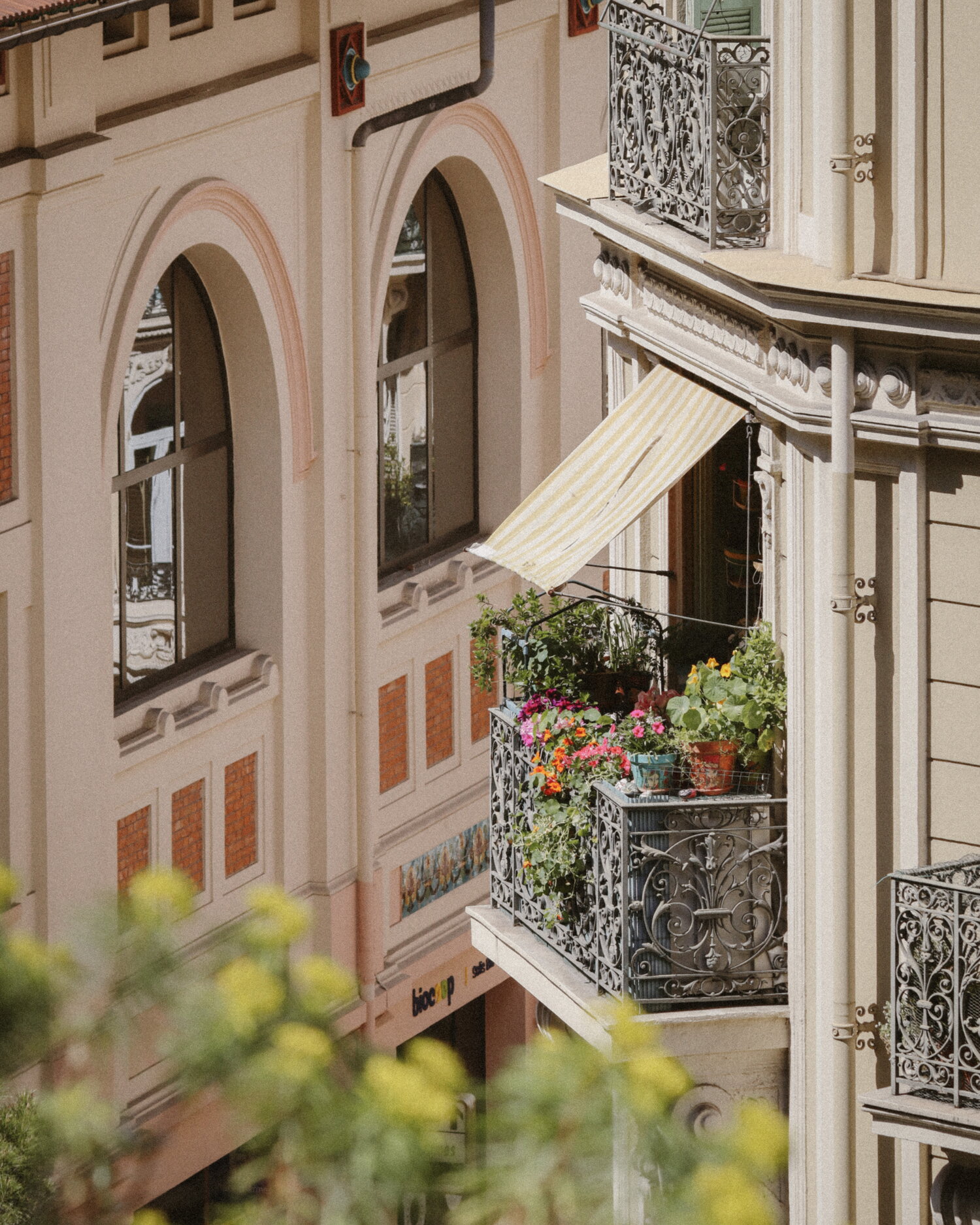 Blumenbalkon an einer Fassade in Monte-Carlo