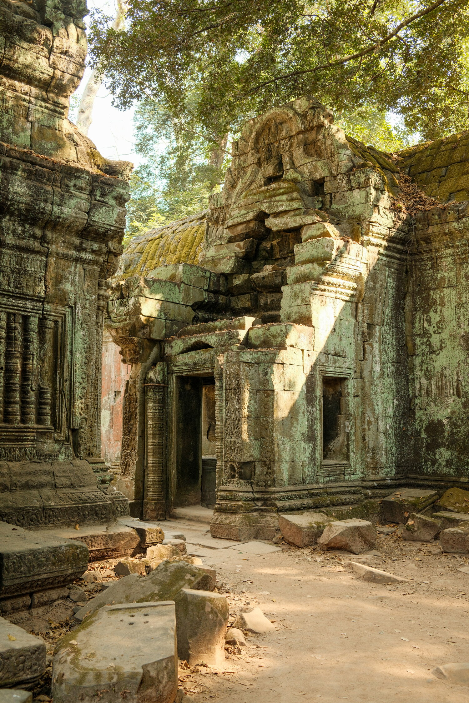 Bemooste Ruinen von Ta Prohm
