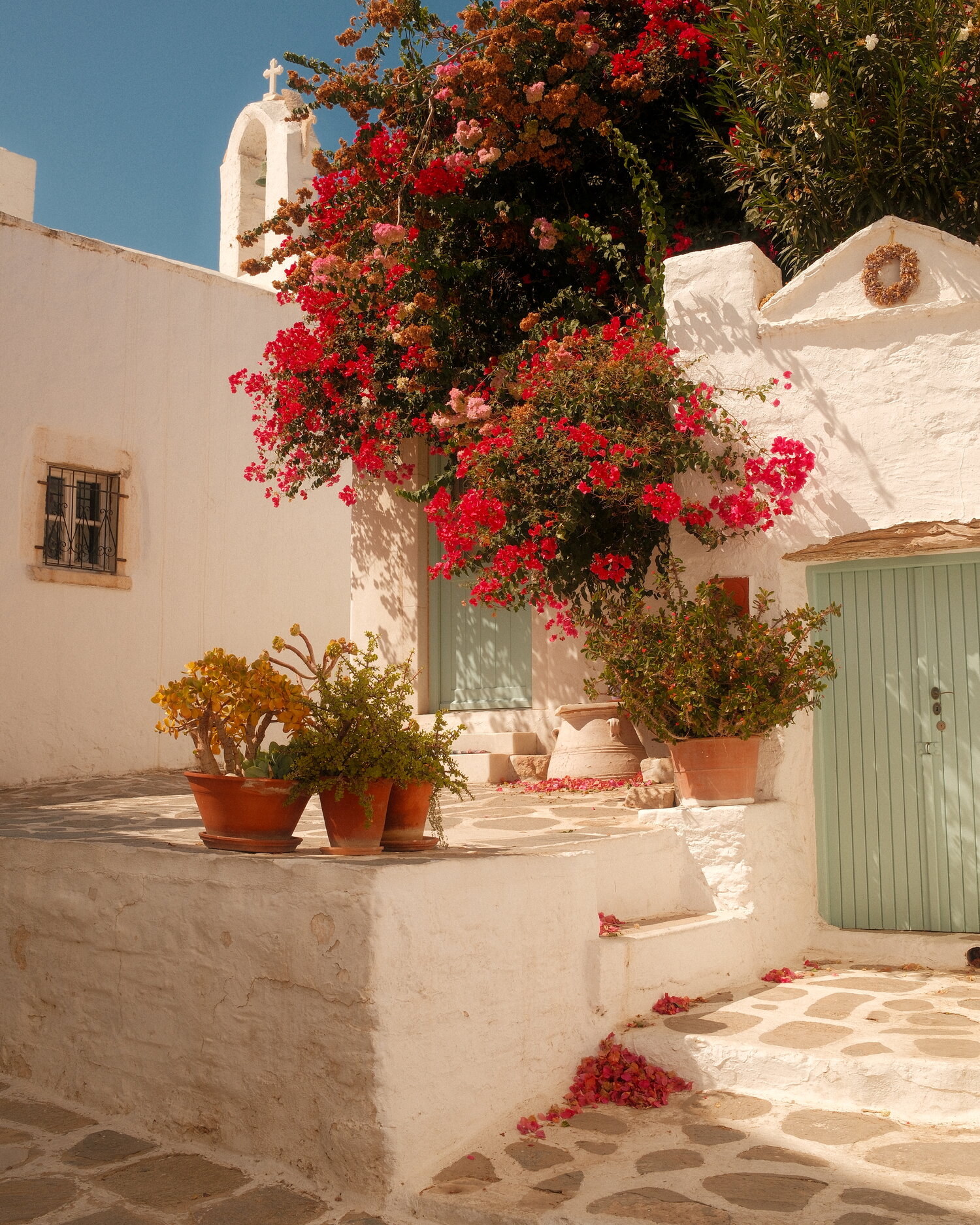 Bougainvillea courtyard below a bell tower