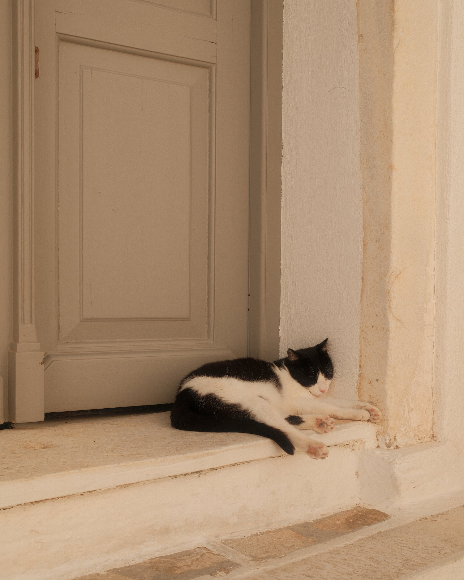 Gato blanco y negro dormido en un umbral