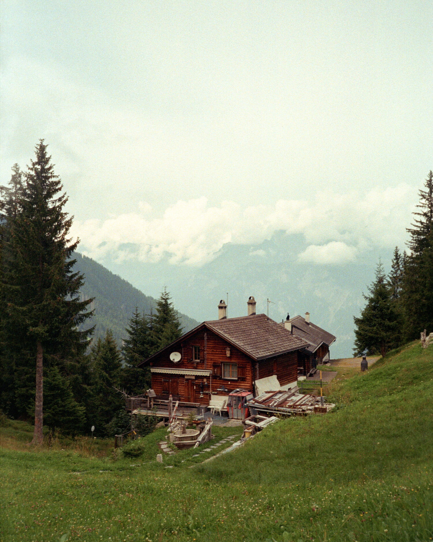 Log chalets on a grassy slope among firs
