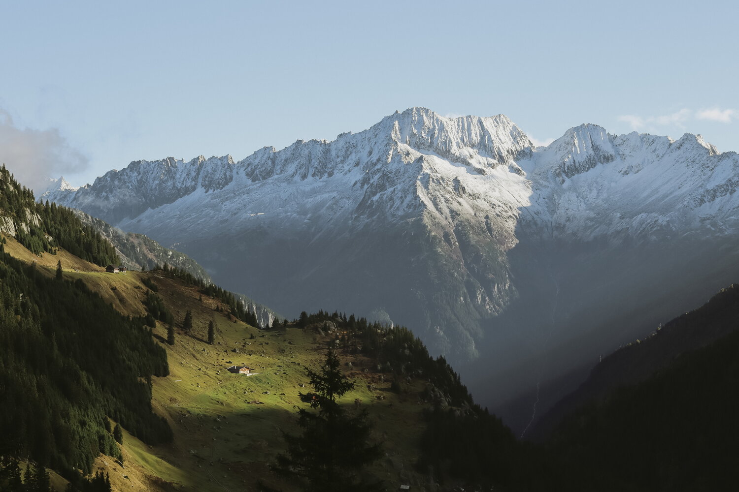Sunlit pasture below snowy Swiss peaks