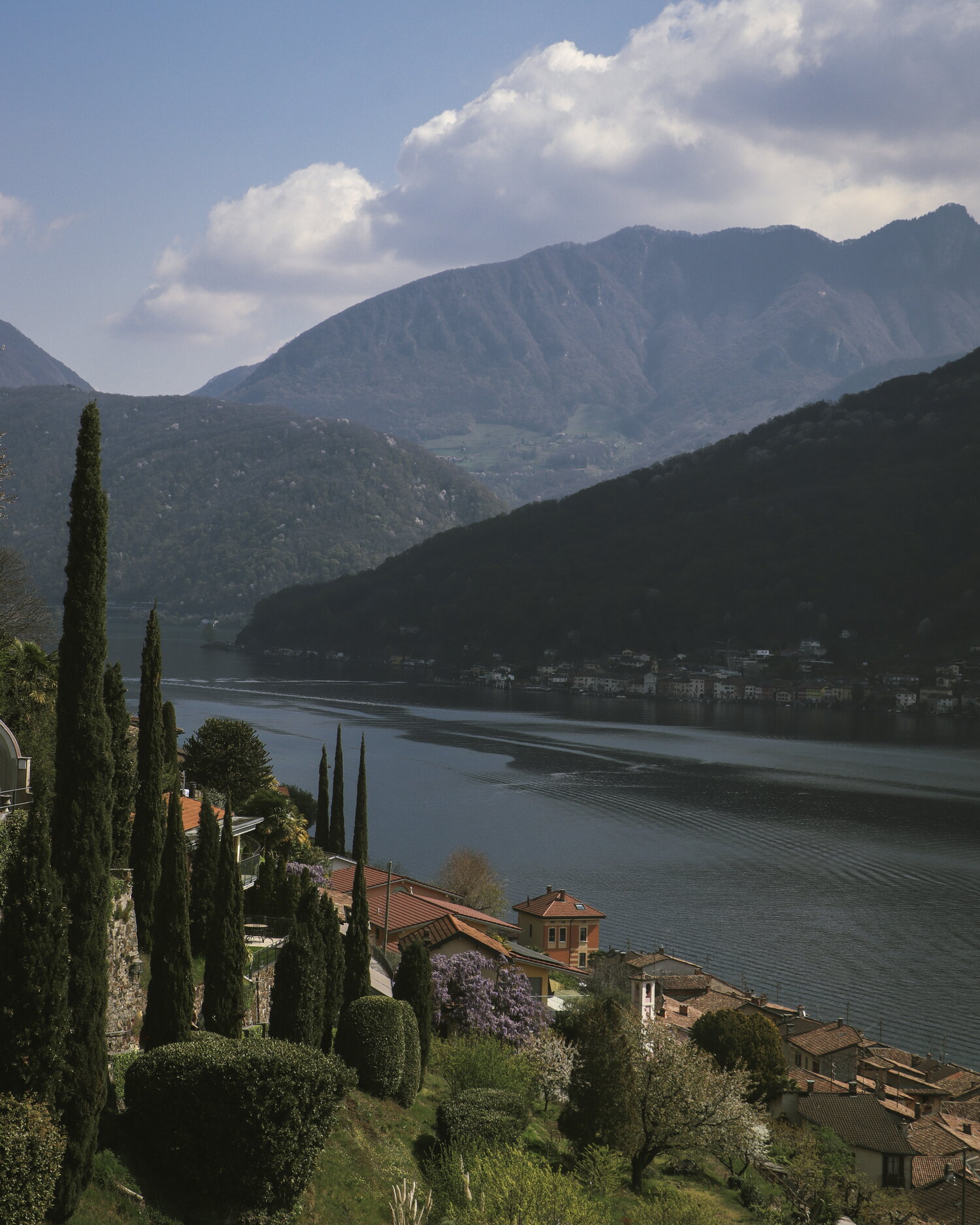 Cipreses y un pueblo junto al lago en el Tesino