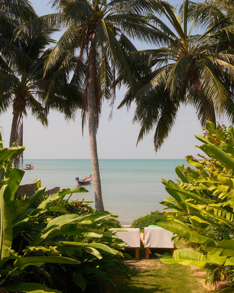 Palmeras sobre el mar en Koh Phangan