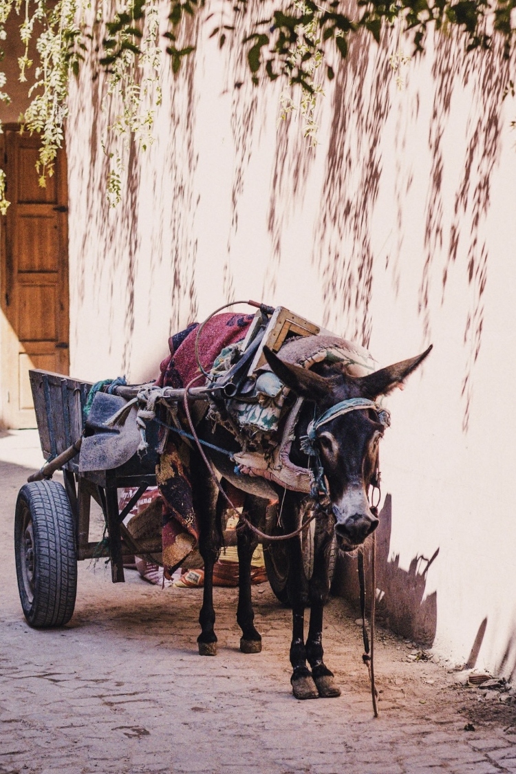 Marrakech streets