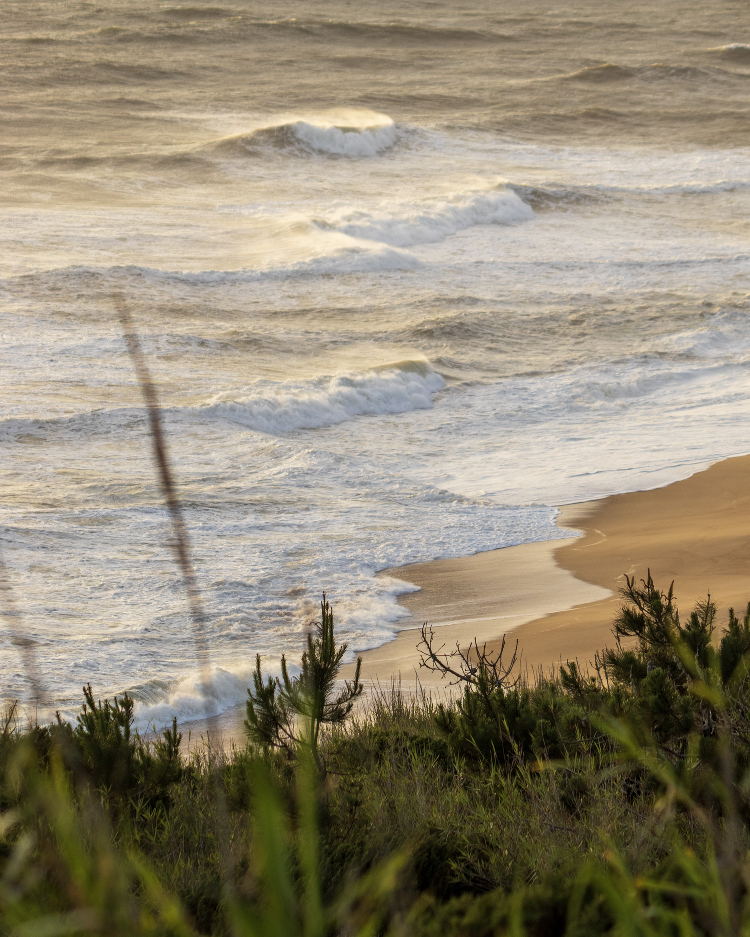 ocean photographer portugal