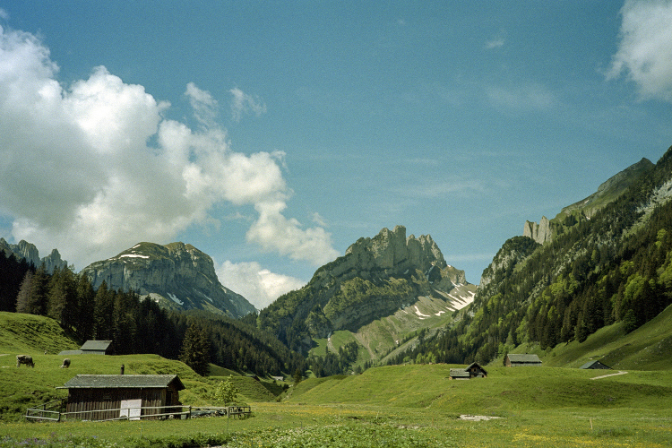 swiss alps landscape