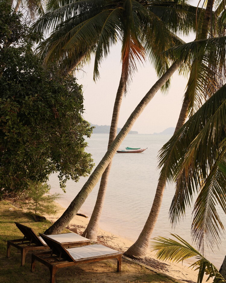 Palmeras y tumbonas en una playa de Tailandia